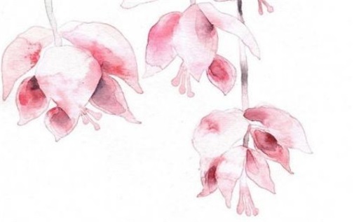 2025年08月14日是动土好日子吗 宜建筑房屋吉日查询