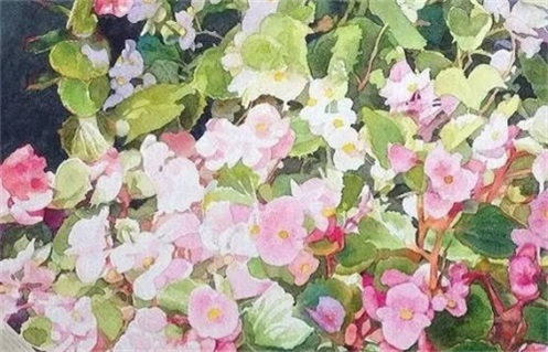 2025年11月18日动土好吗 今日动土建房好吗