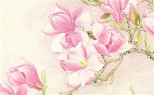 2025年农历六月三十动土日子如何 今日建筑房屋好吗