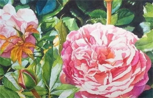 2025年11月20日动土吉日查询 宜动土修造吉日查询