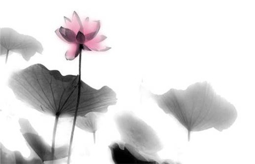 2025年12月24日动土日子如何 是动土建房好日子吗