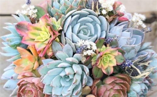 2026年01月02日结婚好吗 今日办喜事好吗