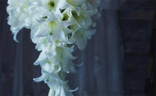 2025年10月03日领证日子如何 宜领证结婚吉日查询