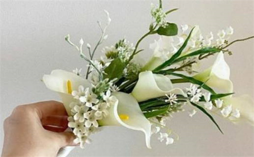 2025年农历十月十六领证好吗 今日领证好不好