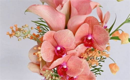 2025年12月10日领证黄道吉日 今日领证好不好