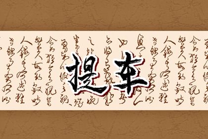 2025年06月11日提车日子如何 今日提车买车好不好