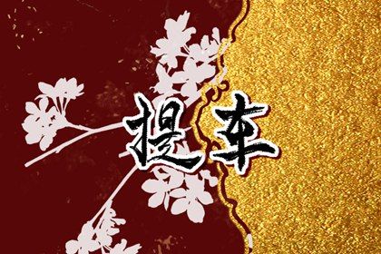 2025年农历九月二十提车吉日查询 是提新车好日子吗