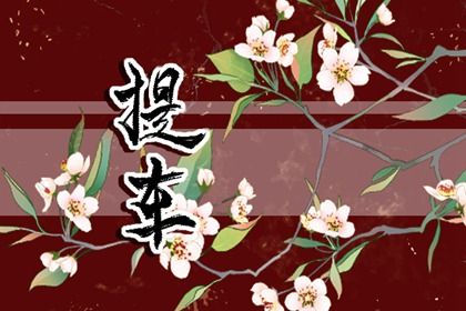 2025年08月09日是提车好日子吗 宜买新车吉日查询