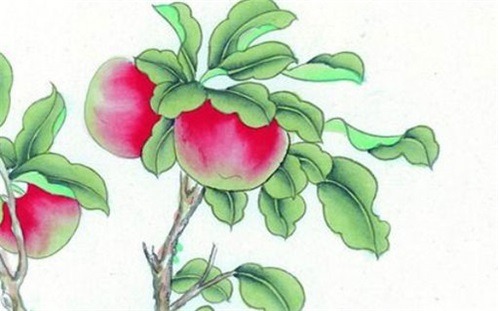 2025年07月13日装修黄道吉日 今日装修动工好吗